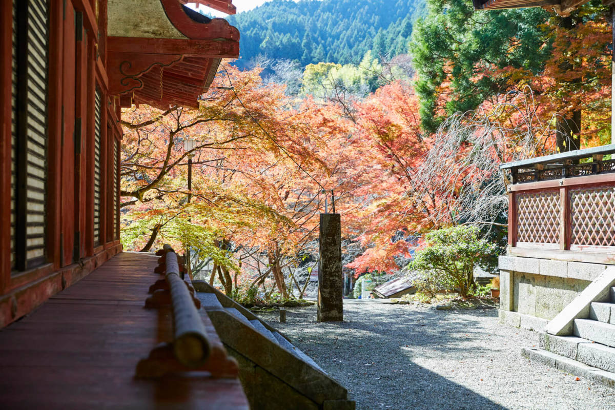 談山神社 紅葉 見ごろ