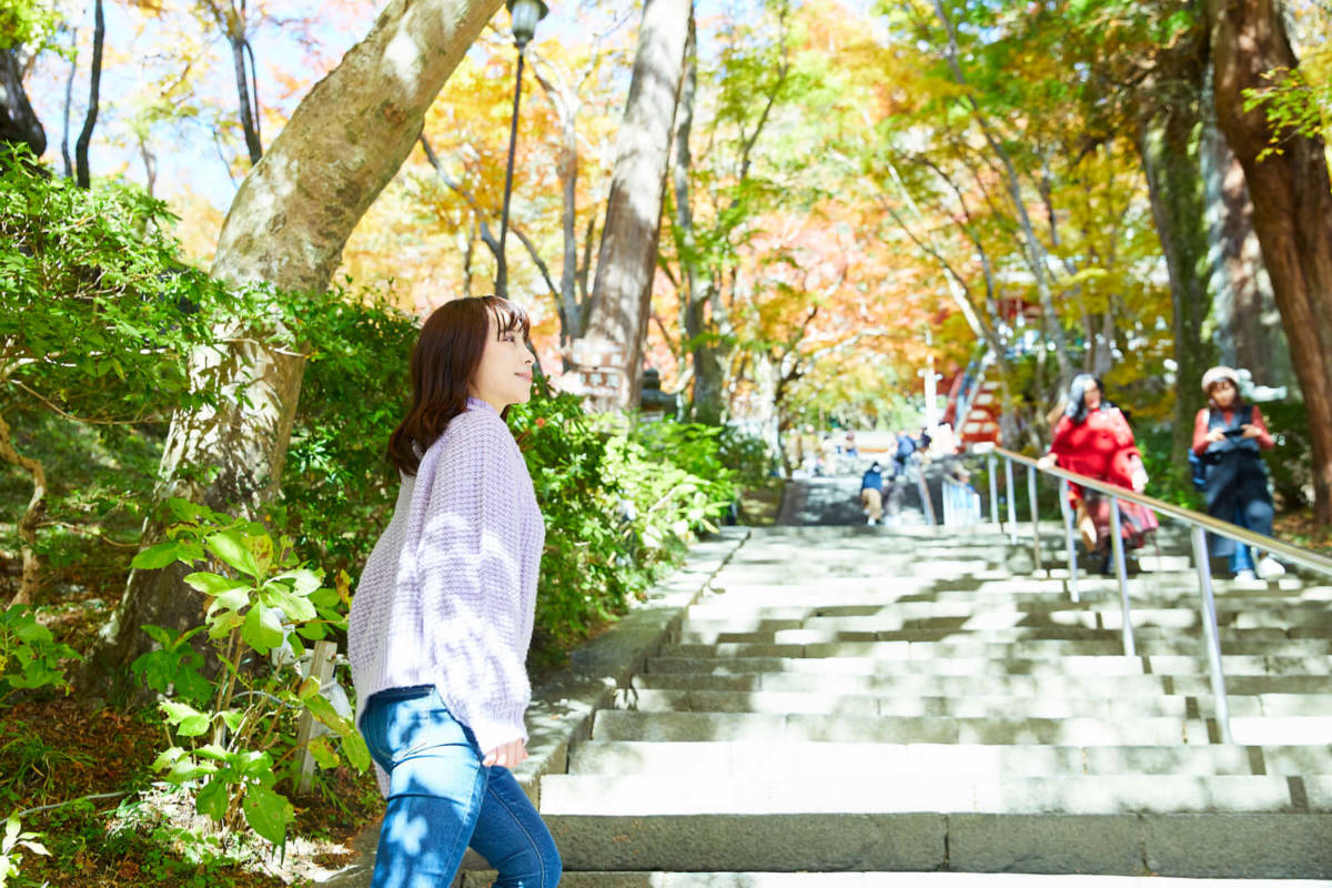 談山神社 紅葉 桜